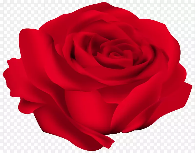 玫瑰花红色剪贴画-红玫瑰花PNG形象