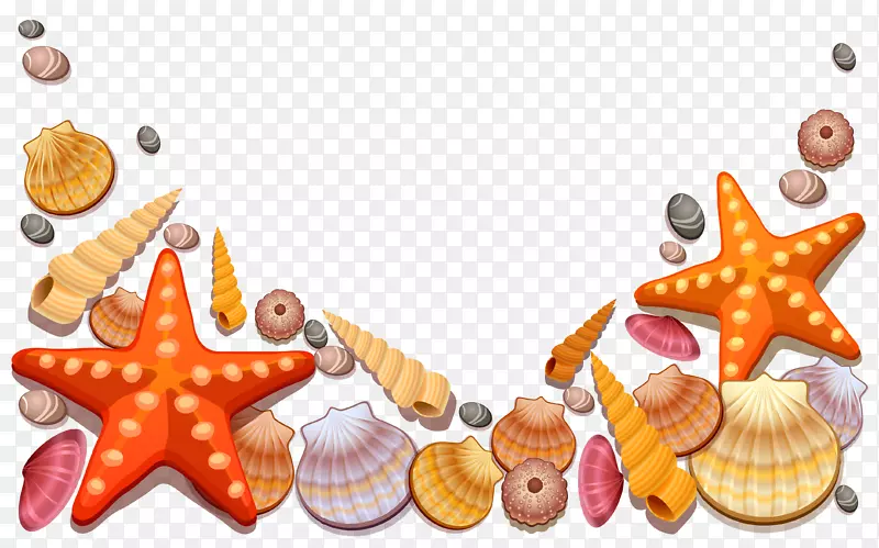 贝壳剪贴画.海贝壳装饰