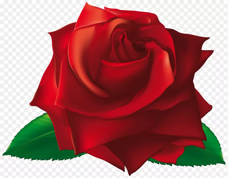 玫瑰花皇室-免费剪贴画-红色单色玫瑰PNG剪贴画