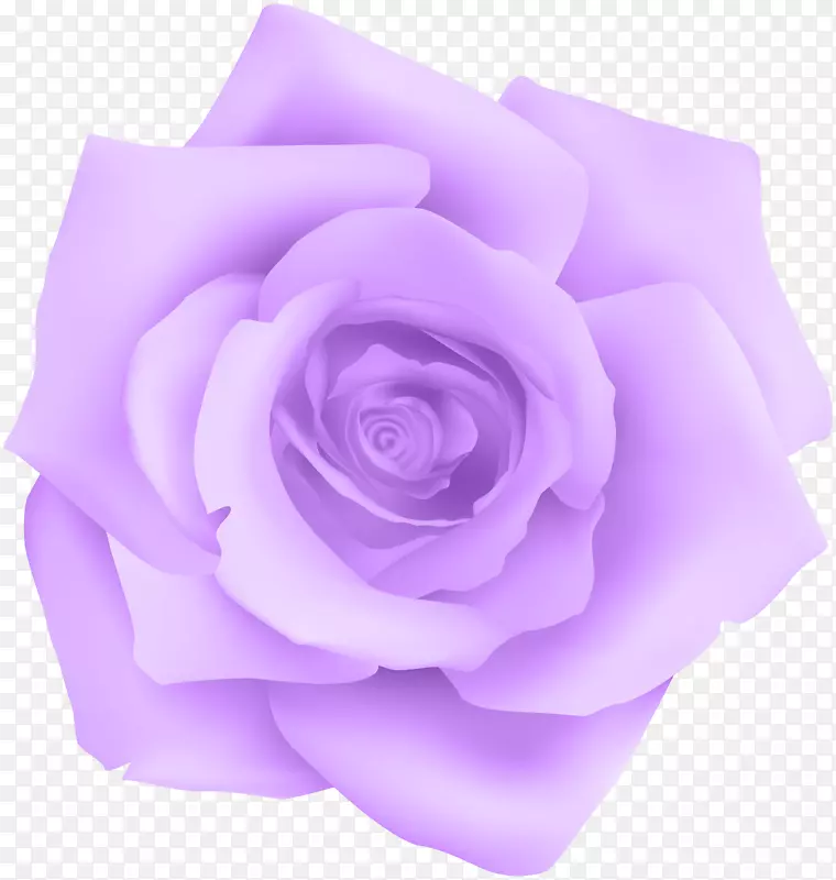 紫玫瑰蓝-紫玫瑰透明剪贴画