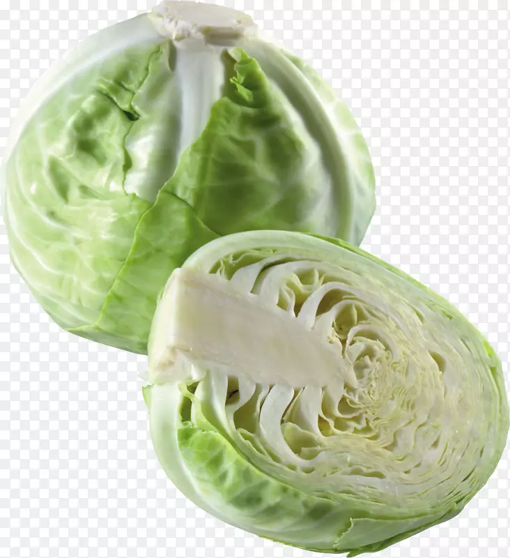 甘蓝菜花蔬菜甘蓝-白菜PNG图像