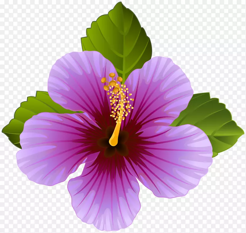 紫花剪贴画-紫花透明剪贴画图像
