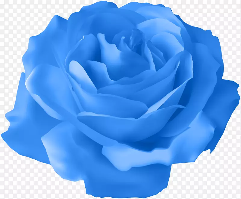 玫瑰紫色剪贴画-蓝色玫瑰透明PNG剪贴画图像