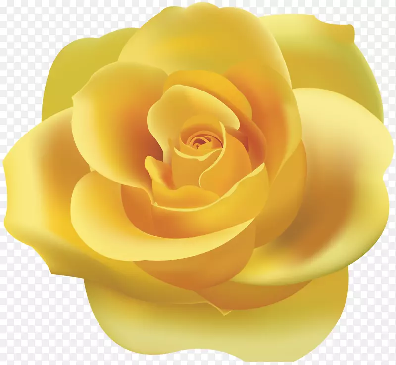 玫瑰黄色剪贴画-黄玫瑰PNG剪贴画