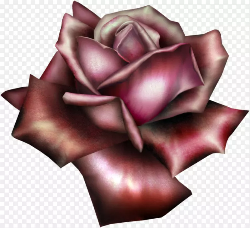 花园玫瑰剪贴画-美丽的红玫瑰悬崖