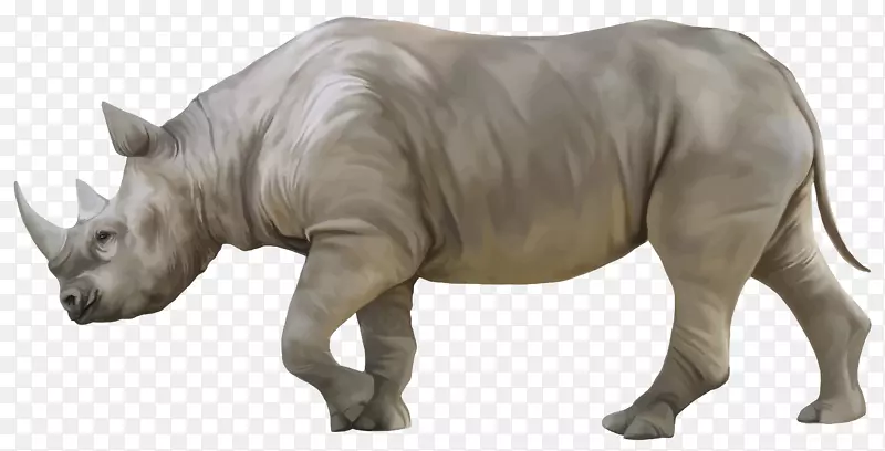 犀牛3D渲染-犀牛PNG
