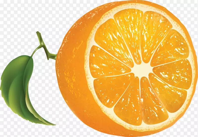 果汁橙汁柠檬剪辑艺术-橙色PNG图片，免费下载