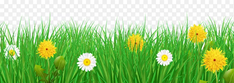花卉剪贴画-草和花透明的PNG剪贴画图像
