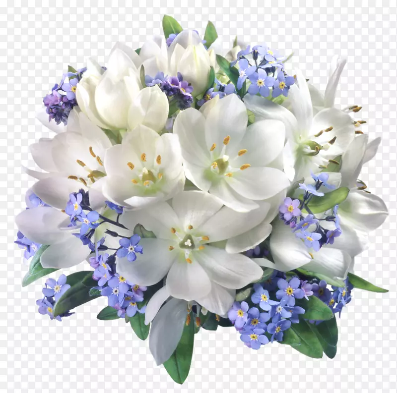 花白剪贴画-花卉构图透明PNG图片