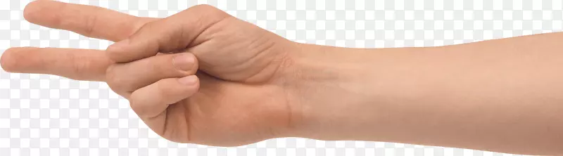 手指手-双指PNG图像