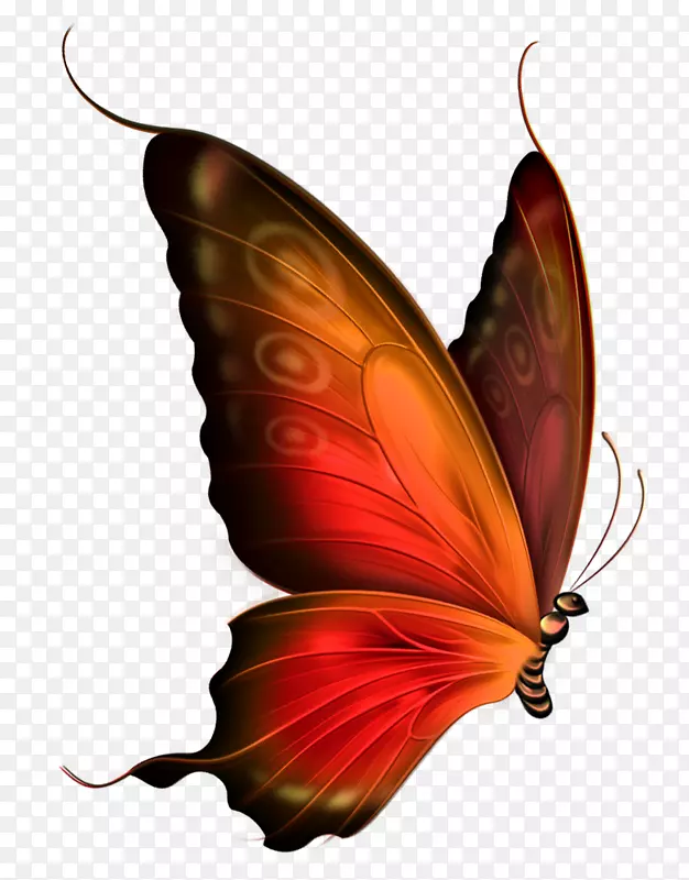 蝴蝶蓝色剪贴画-红色和棕色透明蝴蝶剪贴画
