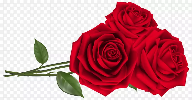 玫瑰红色天线花束-三朵红玫瑰