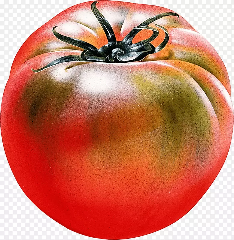 标记笔纸水果Copic-番茄png图像