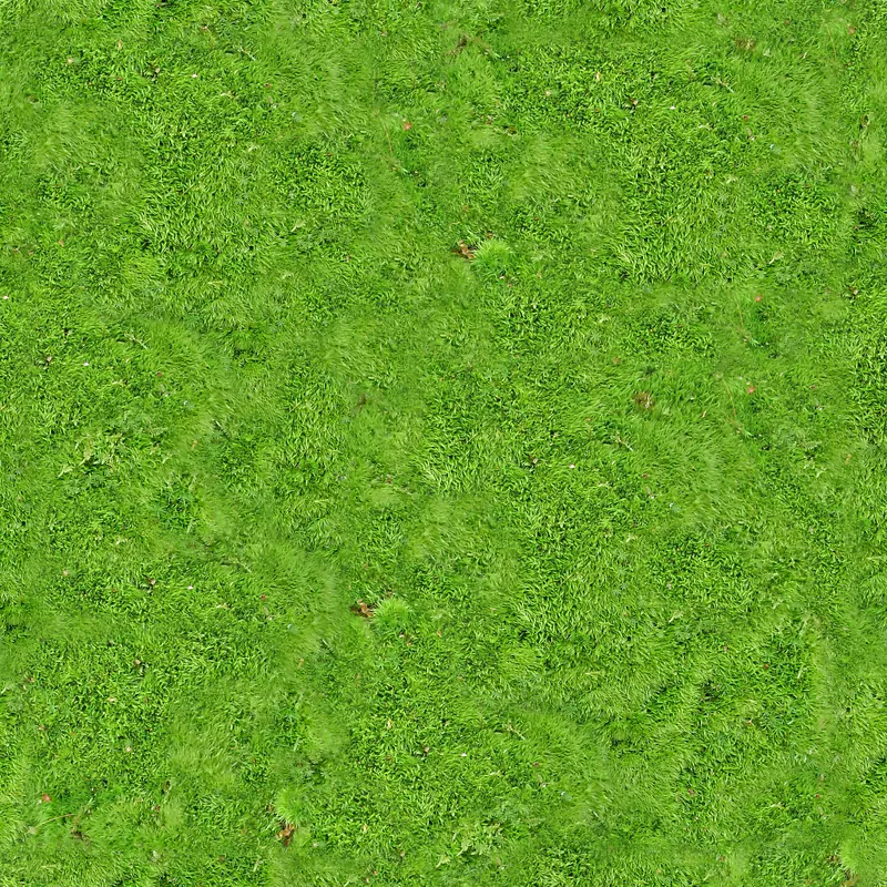 草地绿毯PNG