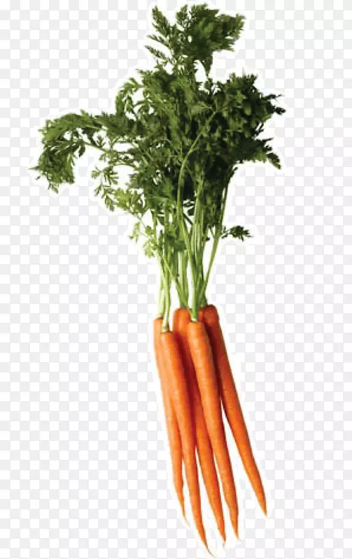 胡萝卜蔬菜-胡萝卜PNG图像