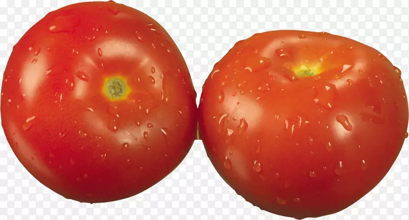 樱桃番茄蔬菜食品水果-番茄PNG图像