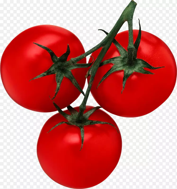 番茄汁樱桃番茄沙拉剪贴画-番茄PNG图像