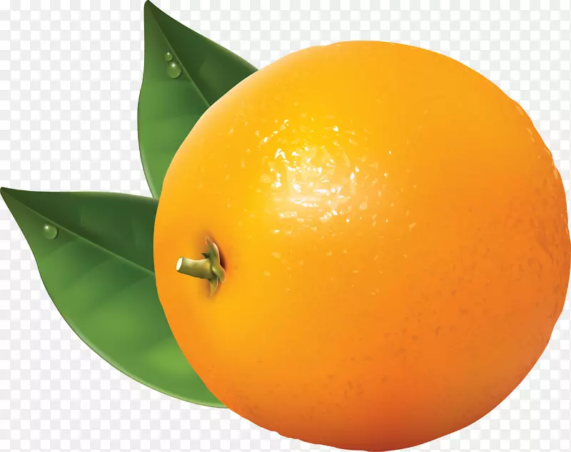 橙色橙花剪贴画-橙色PNG图像，免费下载