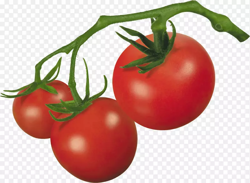 樱桃番茄罗马番茄剪贴画-番茄PNG形象