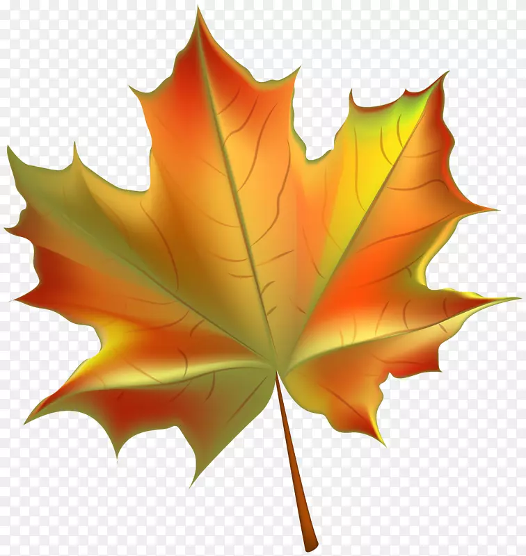 秋叶彩色剪贴画-美丽的秋叶透明PNG剪贴画图像