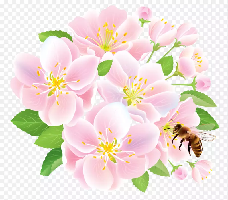 送花室吉卜力粉红蜜蜂春花
