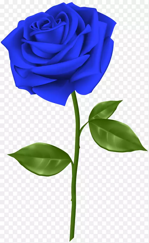 蓝色玫瑰插花艺术-蓝色玫瑰透明PNG剪贴画