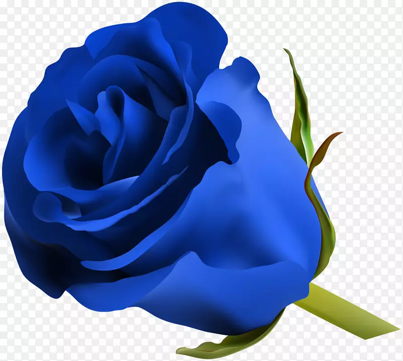 玫瑰花剪贴画-蓝色玫瑰PNG剪贴画图像