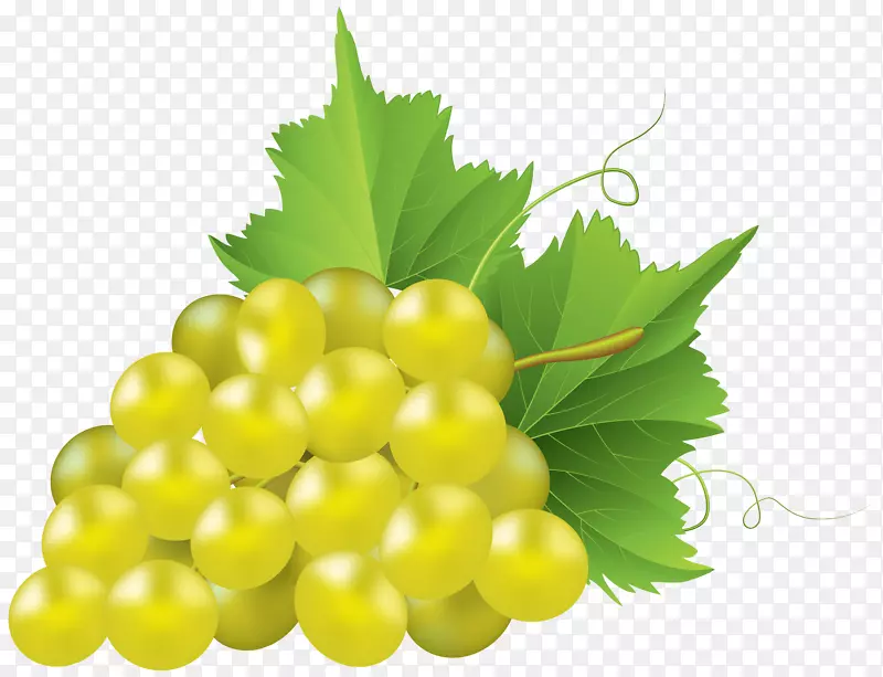霞多丽葡萄派普通葡萄-白色葡萄透明PNG剪贴画图像