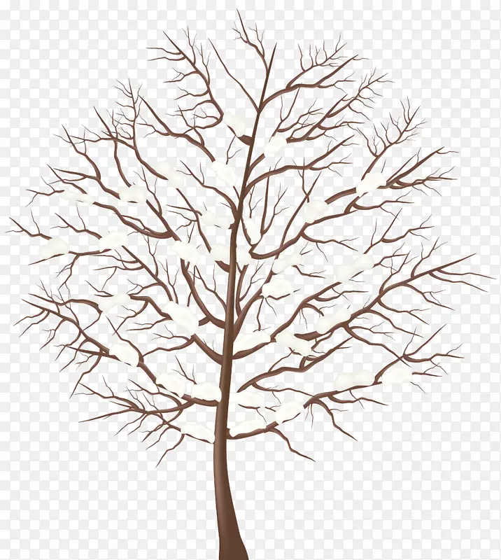 树木剪贴画-冬季树木透明PNG剪贴画图像