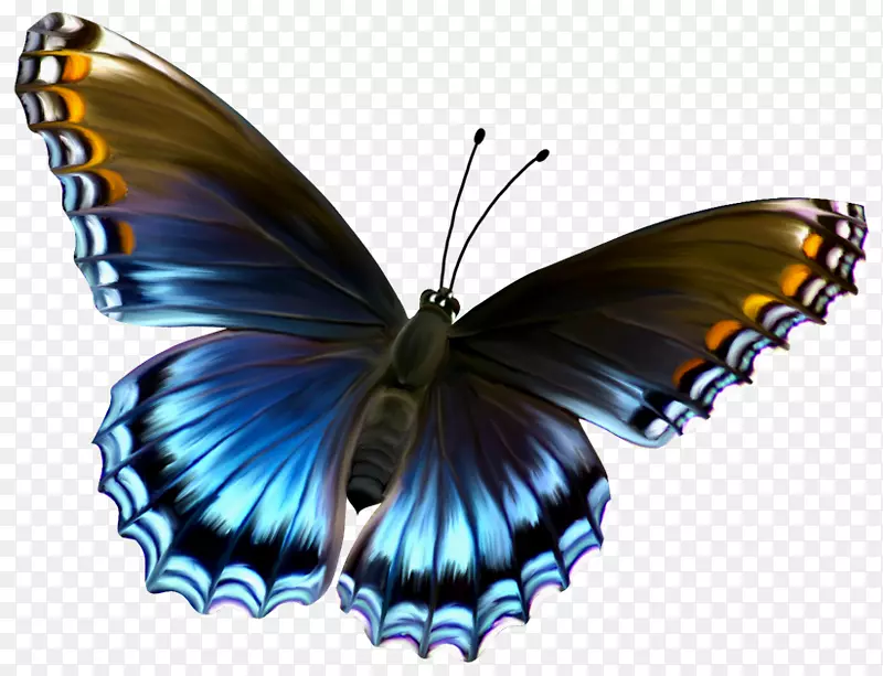 蝴蝶剪贴画-美丽的蓝色和棕色蝴蝶PNG剪贴画