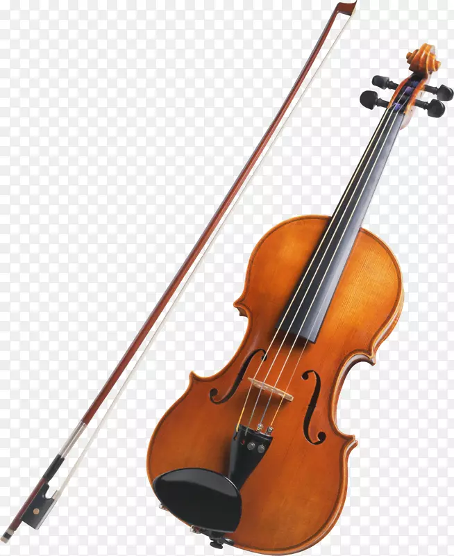 弦乐器小提琴PNG