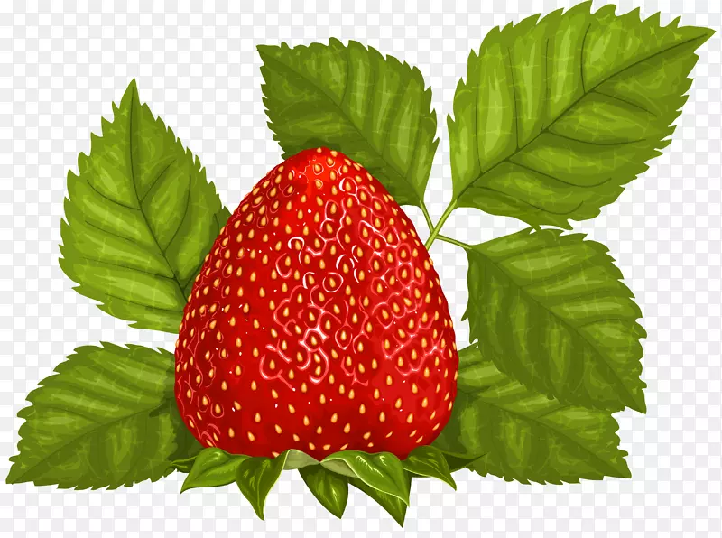 果汁草莓果叶剪贴画-草莓配叶图片