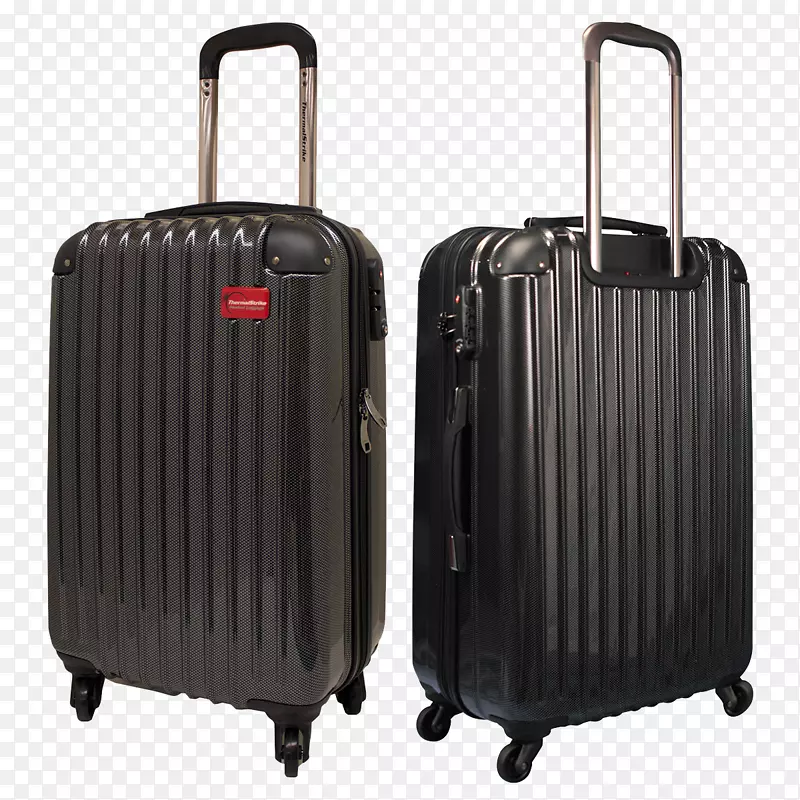 行李行李箱床臭虫热-行李png图像