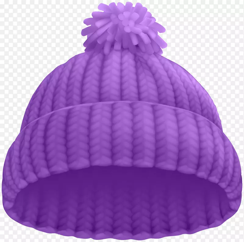 贝妮帽股摄影帽夹艺术-紫色冬季帽PNG剪贴画形象