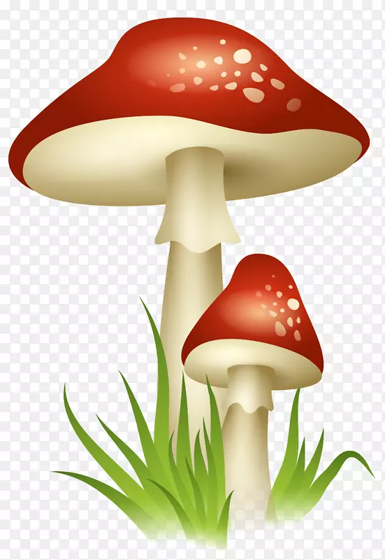 蘑菇剪贴画-蘑菇透明PNG图片