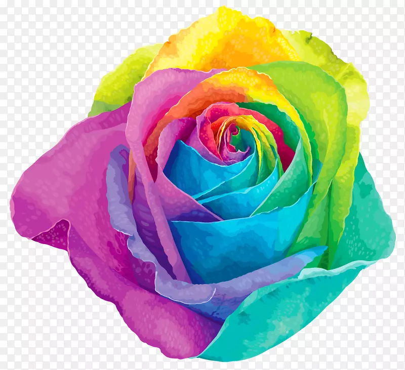 花虹玫瑰剪贴画-彩色彩虹玫瑰透明PNG剪贴画图像