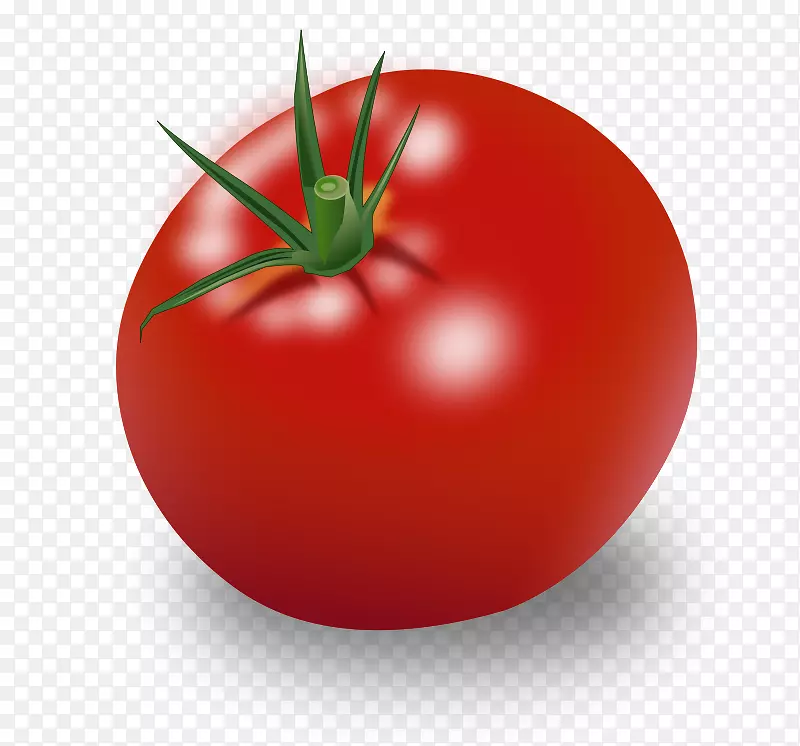 樱桃番茄果实成熟蔬菜剪贴画-番茄PNG