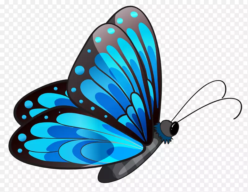 蝴蝶剪贴画-透明蓝色蝴蝶剪贴画