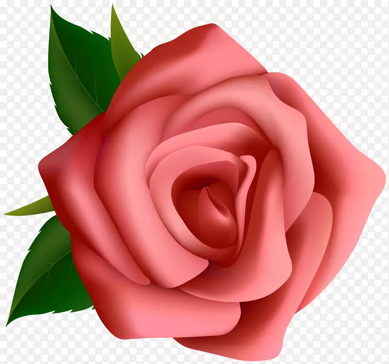 玫瑰粉色剪贴画-红玫瑰剪贴画