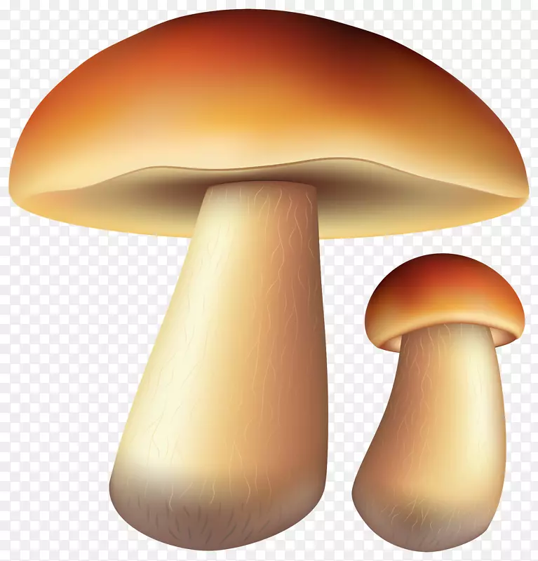 秋季剪贴画-蘑菇免费PNG剪贴画图像