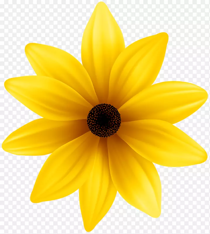 黄色大丽花花瓣-黄花PNG剪贴画图像