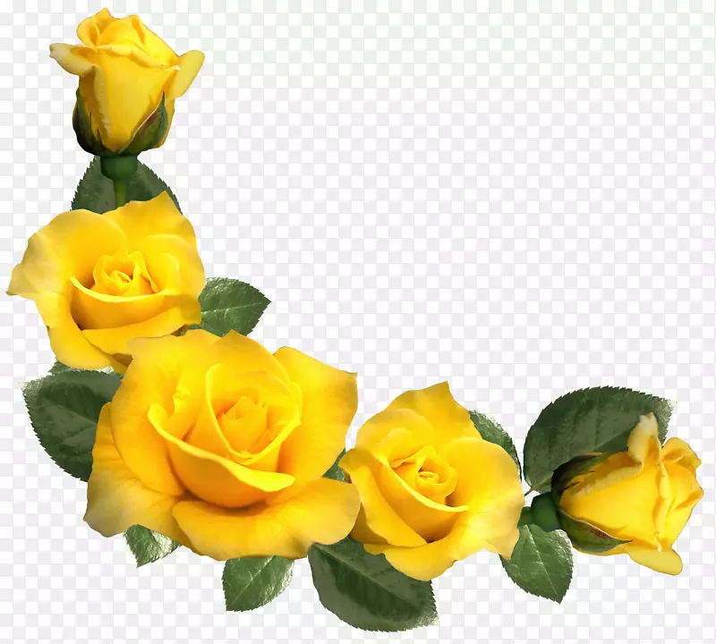 玫瑰黄色剪贴画-美丽的黄色玫瑰装饰