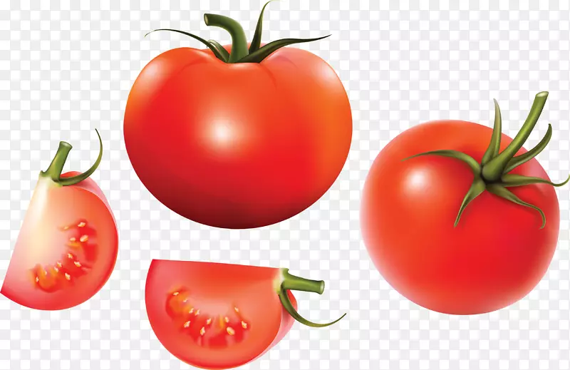 番茄剪贴画-番茄PNG
