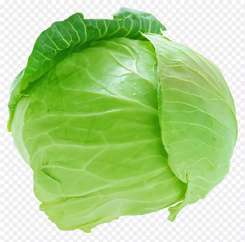白菜菜花-白菜PNG图像