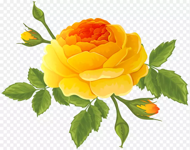 花园玫瑰，蜈蚣玫瑰，克鲁兹，拉米雷斯剪贴画-橙色玫瑰，带花蕾