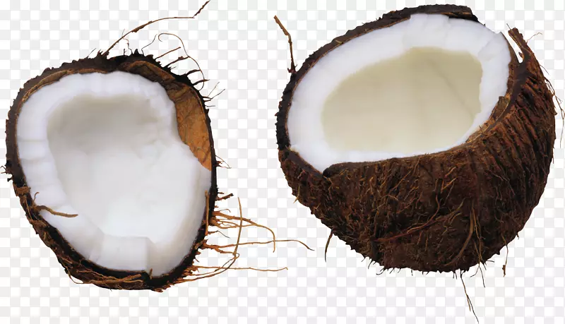 椰子水椰子饼-椰子PNG图像
