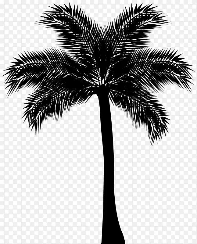 亚洲棕榈、槟榔科剪贴画-棕榈树剪影PNG剪贴画