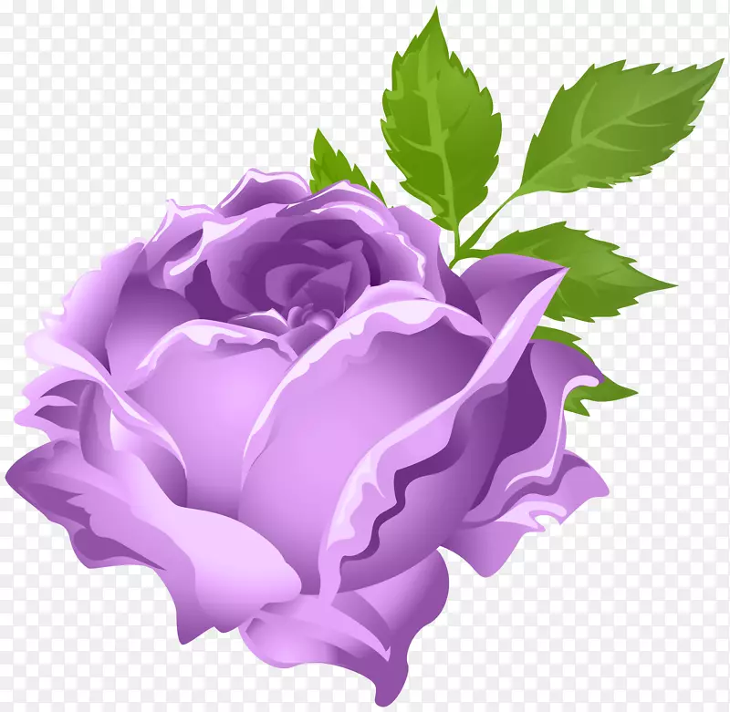 花园玫瑰紫蜈蚣玫瑰剪贴画-紫玫瑰PNG剪贴画形象