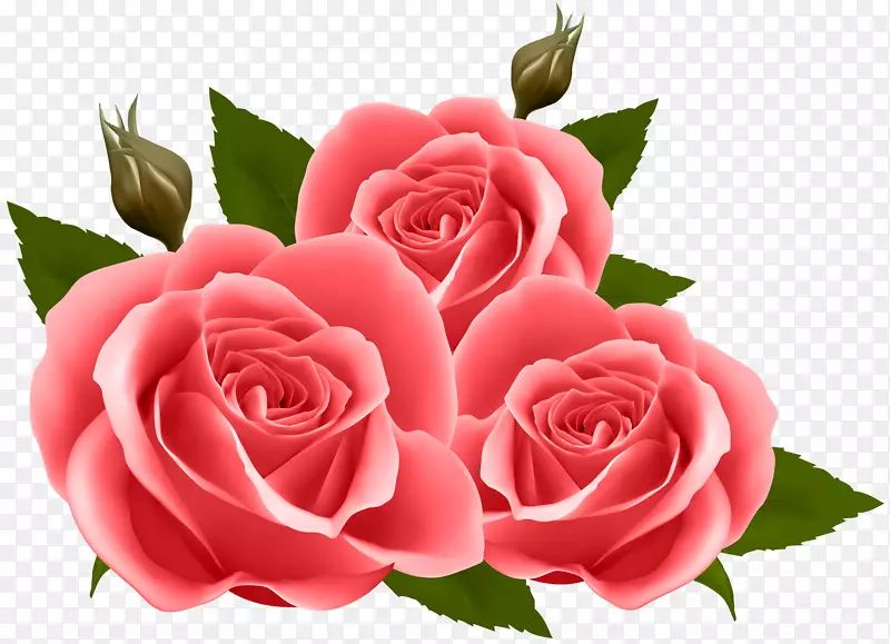 玫瑰花图案墙纸-红玫瑰PNG剪贴画形象