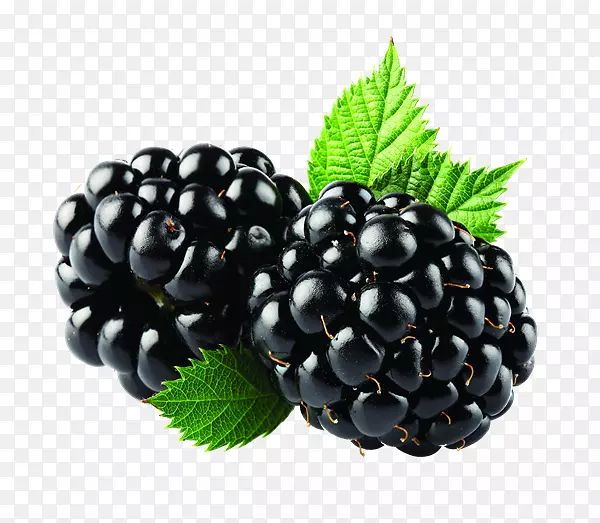冰沙黑莓有机食品牛奶-黑莓PNG